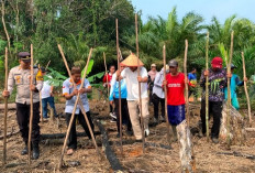 Bupati Fery Insani Turun Langsung Nugal Padi Ladang Bersama Warga Desa Labu
