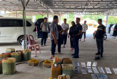 Polres Bangka Bongkar Penimbunan BBM Bersubsidi di Belinyu, Modus Pakai Banyak Barcode MyPertamina