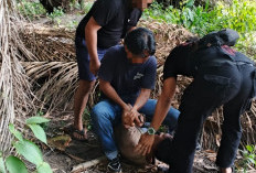 Pergi Belanja ke Toko, Bocah 14 Tahun di Basel Pulang ke Rumah Berlumuran Darah, Lalu Tewas 