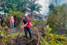 Karhutla Mulai Marak di Belitung, 6 Kasus Tercatat dalam Sepekan