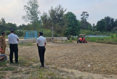 Sukses Kembangkan Hortikultura di Ponpes Manbaul Ulum, Kini Merambah ke Nahdhotul Muhibbin