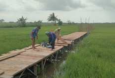 Desa Rias Disulap Jadi Wisata, Sekda : Kombinasi Ketahanan Pangan dan Pariwisata 