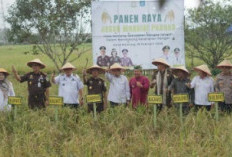 Sinergi Adhyaksa dan Pemerintah, Desa Namang Jadi Simbol Ketahanan Pangan Bangka Tengah