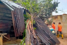 BPBD Minta Masyarakat Bangka Belitung Waspada Angin Kencang Selama Musim Hujan