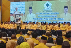 Ini Alasan Menteri ESDM Akan Siapkan HPM Timah