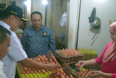 Forkompinda Bangka Pantau Sembako di Pasar Kite Sungailiat 