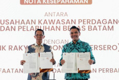 Dukung Pengusaha, BRI Kolaborasi dengan BP Batam, BKPM & Kementerian UMKM untuk Perkuat Investasi Daerah