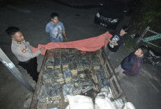 Polresta Pangkalpinang Sita 4,1 Ton Diduga Timah Ilegal, 4 Orang Diamankan