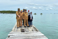 Respon Cepat Gubernur Hidayat Arsani Tinjau Dermaga Rusak Pulau Kelapan