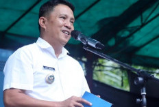 Begini Skema Gaji Tenaga Non Database Pemkab Bangka