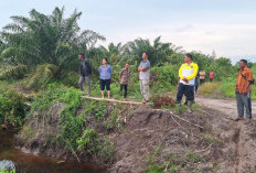 Sawah LP2P Limus Berubah Diduga Jadi Lahan Sawit, Rina Tarol Minta APH Sikat Mafia Tanah