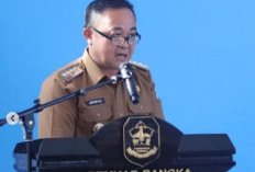 Aplikasi Sedulang Jadi Andalan Tingkatkan PAD Bangka