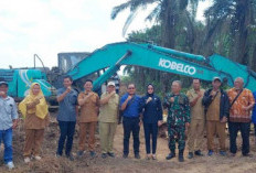58,3 Hektare Sawit Rakyat di Belitung Diremajakan, Produktivitas Petani Jadi Target