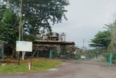 Dugaan Tipikor 'Warisan Koba Tin', Usai Geledah BNI, akan Banyak perusahaan Terkait?