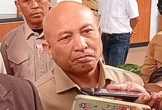 DPRD Babel Siap Ketemu PT Timah Soal Kembali Bahas Tuntutan Harga Timah