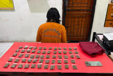 Polres Bangka Barat Tangkap Pengedar Ganja