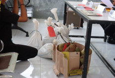 Timah Ditutupi Cempedak Gagal Menyeberang Pelabuhan Mentok