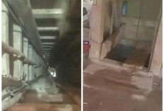 Ada Tambang Timah Tikus Ilegal di Dusun Air Banten Tilek, Pekerja Masuk Terowongan Puluhan Meter