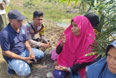 Ke Kebun, Petani di Kelapa Hilang