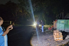 Pengelolaan Sampah di Bangka Dipantau Ombudsman 