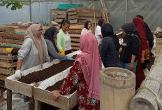 Sinergi dengan Ultra Mikro BRI, Perempuan Nasabah PNM Mekaar Ini Ubah Limbah Jadi Sumber Penghidupan