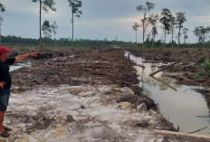 Dinas Bersama Pemdes Pergam dan Masyarakat Verifikasi Wilayah Resapan Air, Ada Warga Klaim Atas Lahan Rawa 