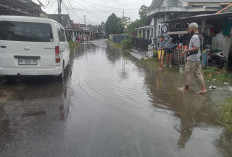 Anggota DPRD Bangka Yus Rizal Tinjau Warga Terdampak Banjir Rob, Soroti Normalisasi Kanal & Restorasi Mangrove
