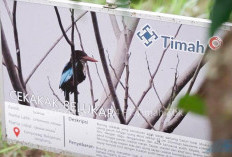 Bersama PPS Alobi, PT Timah Tbk Rawat dan Kembalikan Satwa ke Alam Bebas