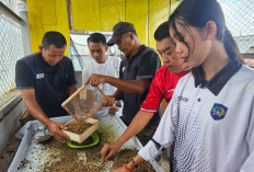 Lapas Pangkalpinang Perkuat Kemandirian Warga Binaan Lewat Budidaya Magot Bernilai Ekonomi
