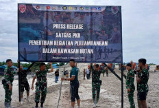 Aji Mumpung, Tak Ada Satgas PKH, Hutan Lindung Sarang Ikan Dijarah Tambang Lagi