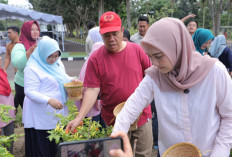 GENCAR Membuahkan Hasil, Bukti Komitmen Gubernur Hidayat Arsani Sukseskan Program Ketahanan Pangan