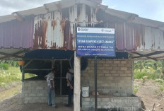 PT Timah Perkuat Ekonomi Lokal Melalui Peternakan Ayam Kampung di Kabupaten Karimun    