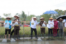Gubernur Babel Hidayat Arsani Tegaskan Babel Menuju Kedaulatan Pangan Berkelanjutan