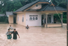 Banjir di Desa Deniang Riau Silip, 4 Rumah Terendam   
