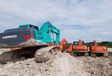 Selain Her, Ini Sederet Nama Cukong yang Menyulap Hutan Nadi dan Sarang Ikan Jadi Tambang