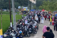 Wisata Pelangi Sawah Desa Namang Jadi Magnet Baru, Bupati dan Wabup Tinjau Langsung