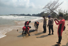 Pasang Jaring, Nelayan Toboali Temukan Mayat di pantai Gunung Namak