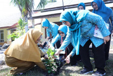 Pohon Butun jadi Simbol Pengingat Kunjungan Noni Hidayat ke SMAN 1 Sijuk