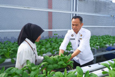 Transformasi Pembinaan Berkelanjutan di Lapas Narkotika Pangkalpinang, Inilah Capaian Kinerja 2025