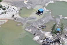 PT Timah Boleh Beli Timah Rakyat Belitung, AMPEBE Minta Asal Tambang Dipastikan Legal