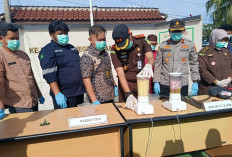 Sabu diblender, Sajam Dipotong