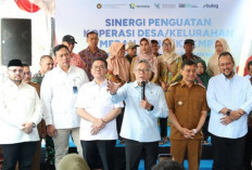 Menko Zulhas Pastikan Kesiapan Operasional Serentak KDKMP