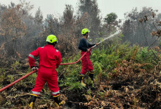 PT Timah Kerahkan Personel Fire Fighter Bersama Grup MIND ID Tangani Karhutla di Kalimantan Barat 