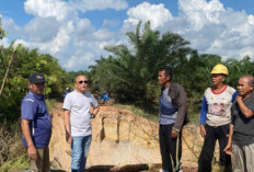 Didit Srigusjaya Tinjau Jalan Tani Rusak di Desa Nibung