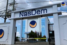 NasDem Babel Dukung Investasi, Tegaskan Bakal Kawal Kewajiban Plasma Perusahaan Sawit