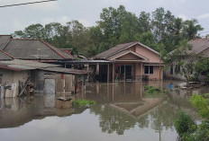 Lingkungan Air Hanyut & Pesisir Sungailiat Teredam Banjir, Warga Minta Bantuan Pemkab