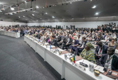 Di COP30, Indonesia Tegaskan Aksi Nyata Menuju NZE 2060, PLN Siap Jadi Motor Transisi Energi Nasional