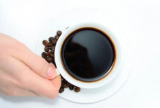 Hasil Penelitian Buktikan Kafein Bisa Perkuat Saya Ingat