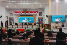 DPRD Babel Libatkan Kajati dan Polda untuk Tindak Perusahaan Sawit Bandel  ​