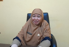 Pemkab Bangka Tengah Kembangkan Klaster Cabai dan Bawang